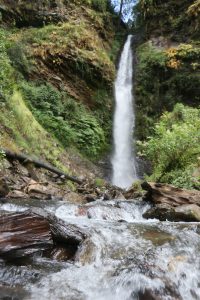 Lauti Falls and Trout Farm