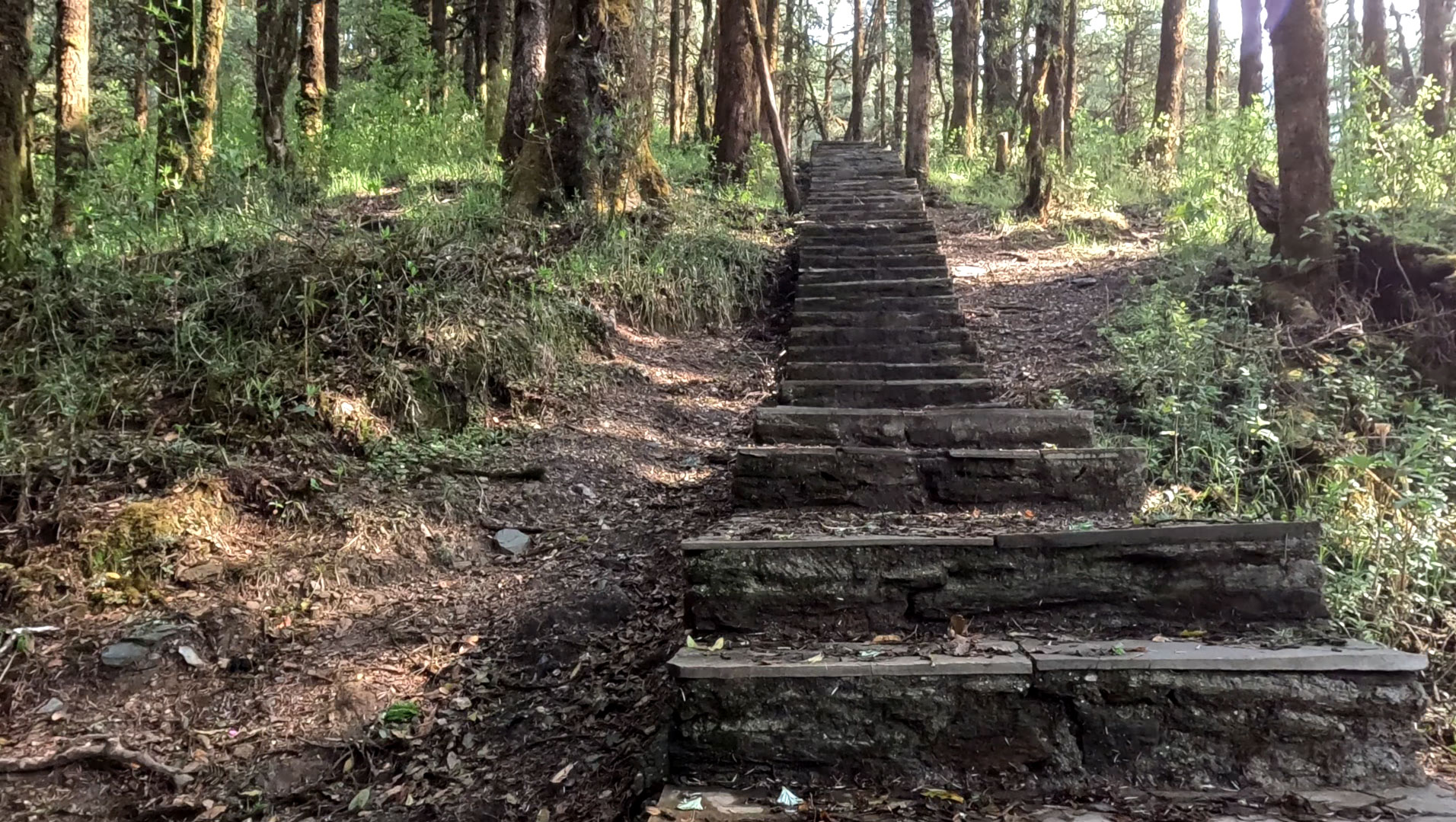 Yak Trail